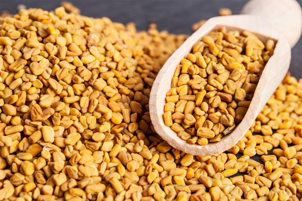 Fenugreek seeds