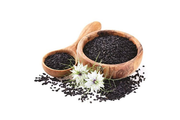 Nigella sativa