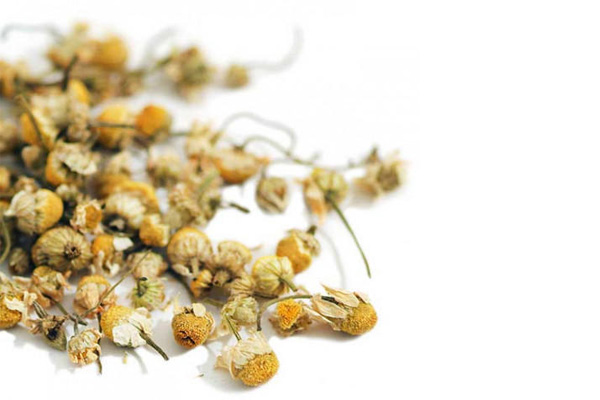 chamomile flower