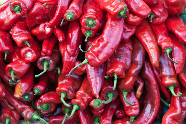 chilli Pepper