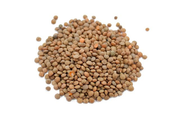 lentils Brown