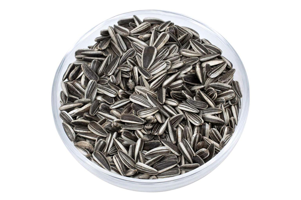 striped sunflower seeds3